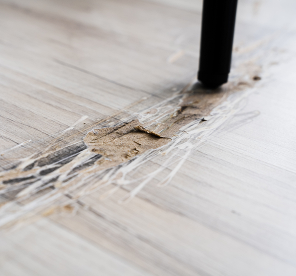 Floor Restoration