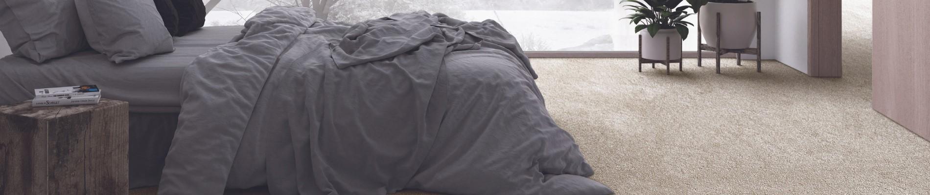 Banner 05-Carpet