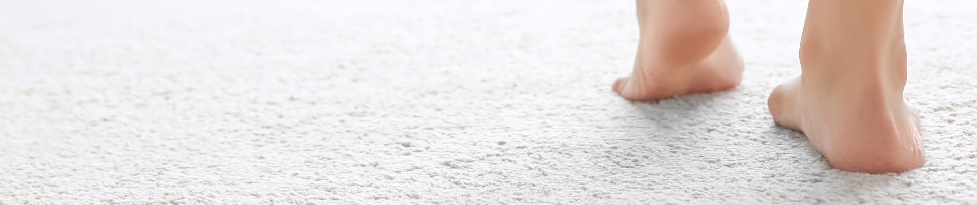 Banner 01