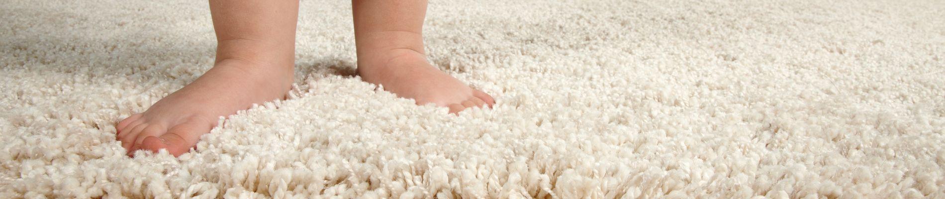 Banner 08-Carpet